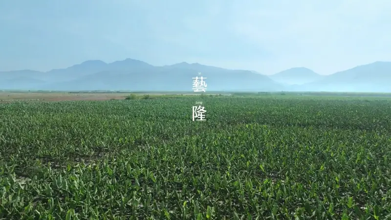 藝隆農產 形象片 影片畫面