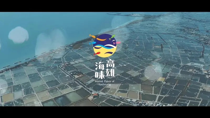 石斑魚紀錄片 影片畫面